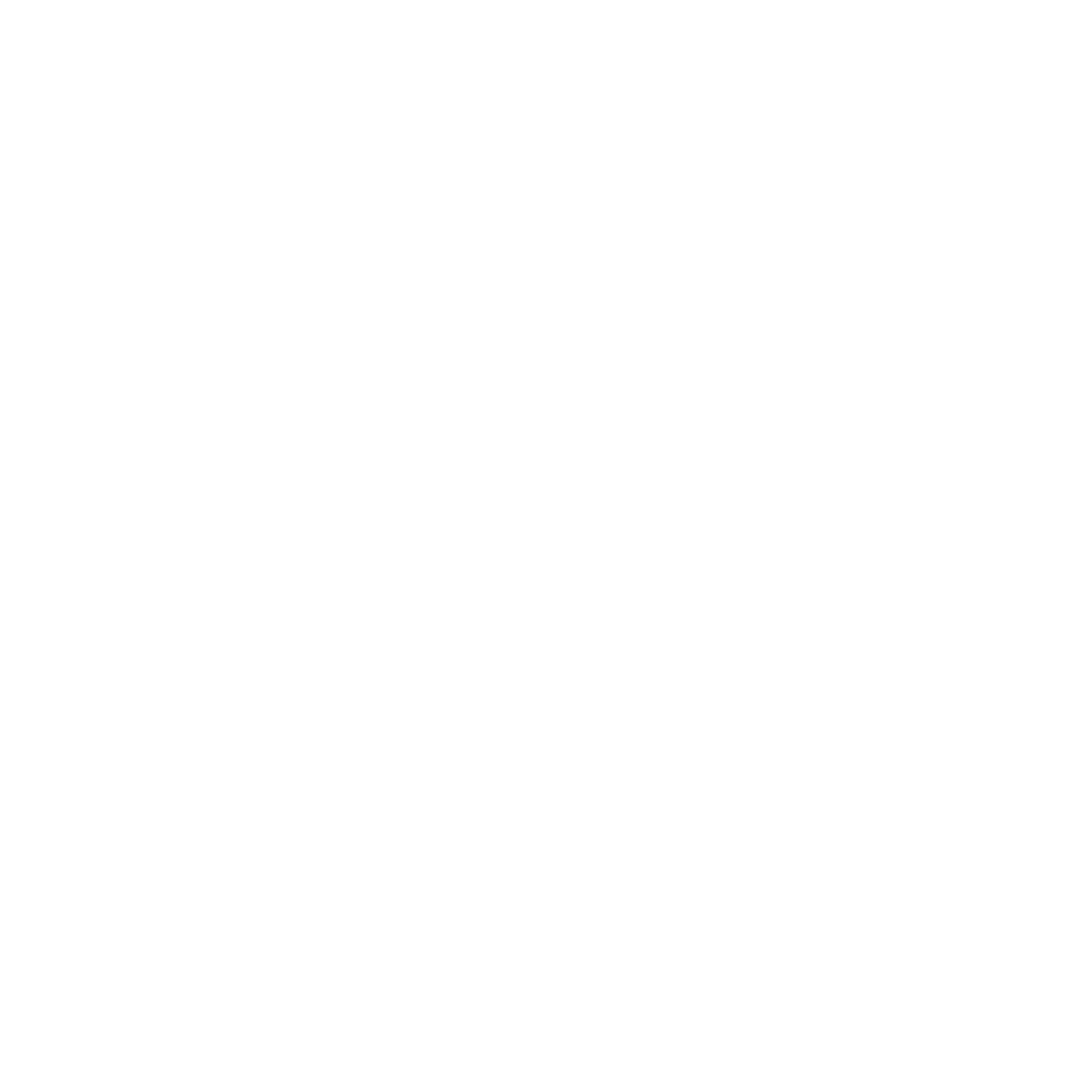 3-alliums-wite